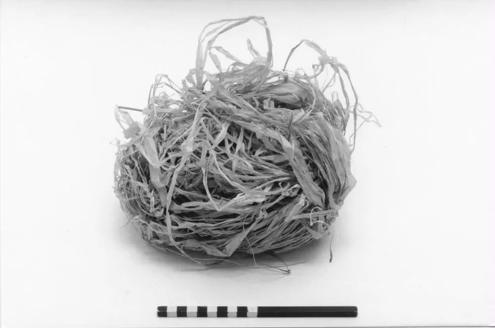 Bast fibre for mat-making