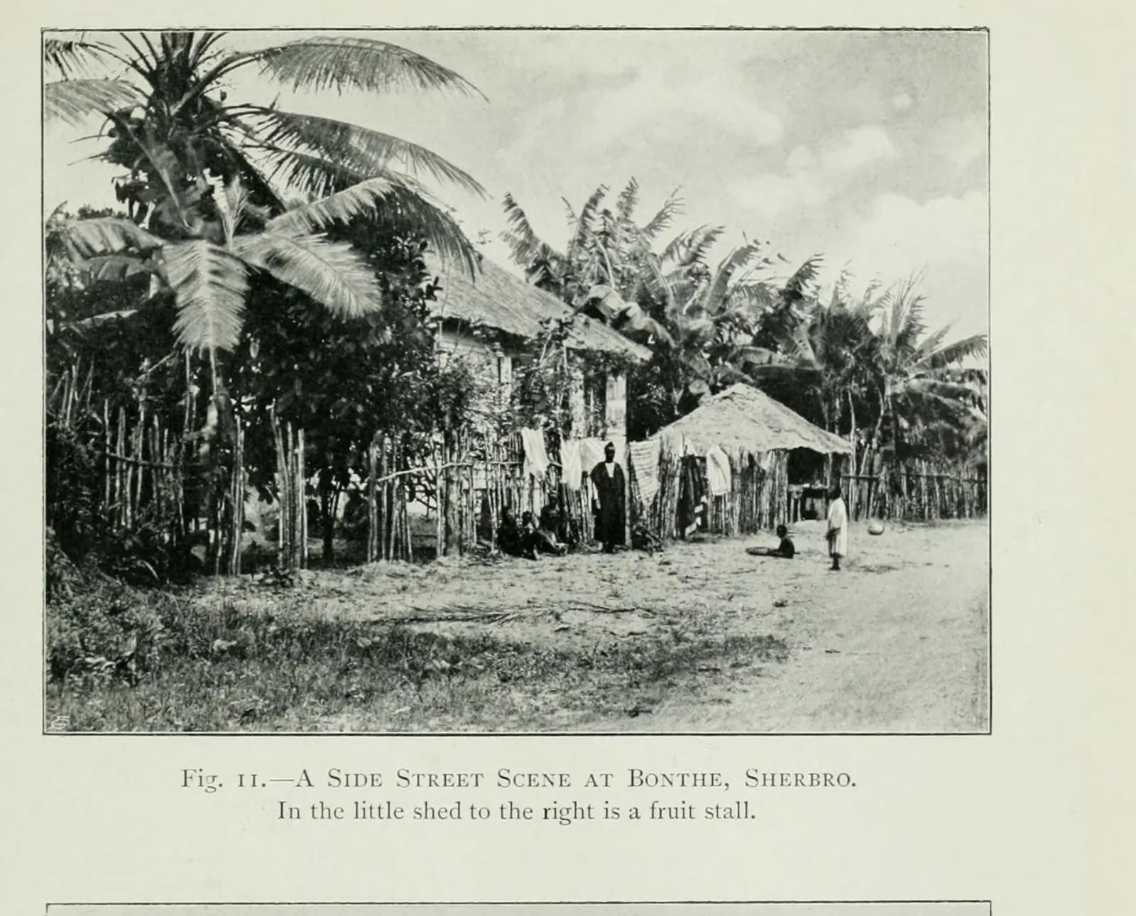 A side street in Bonthe, Sherbro, with a fruit stall, 1901