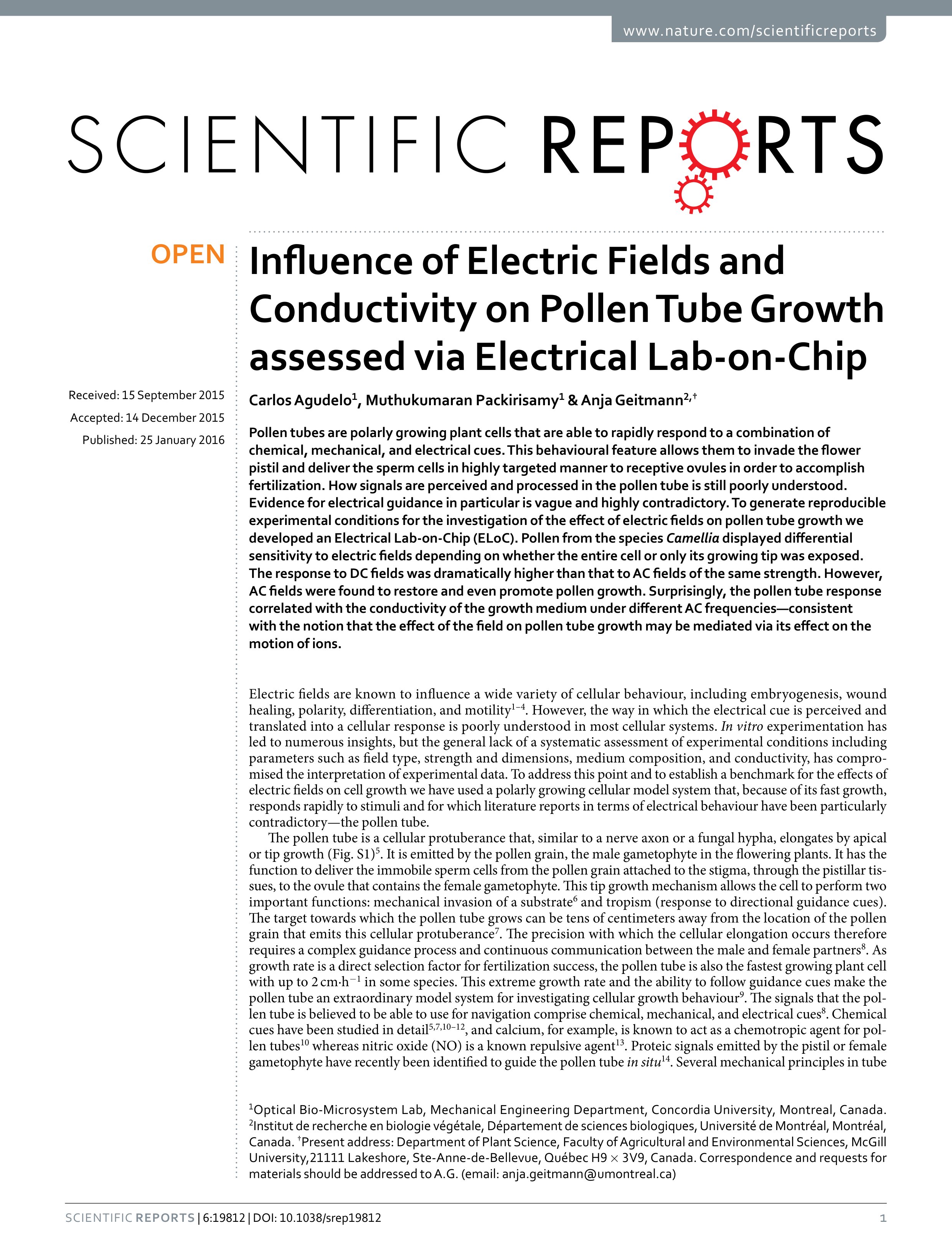 influence of electric fields and conductivity on pollen tube growth assessed via electrical lab on