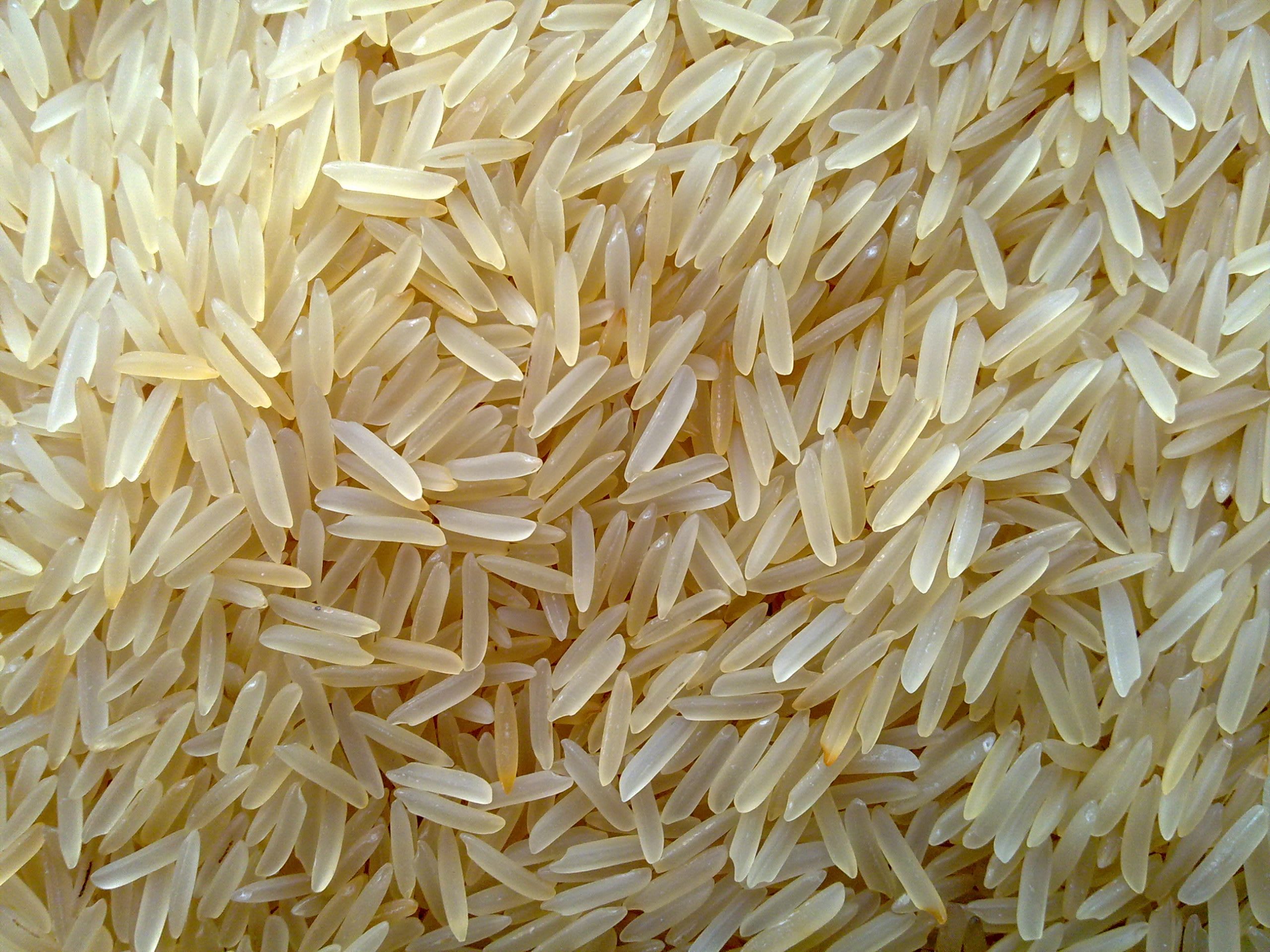 1121 Golden Sella Rice