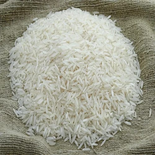 Rice Fields