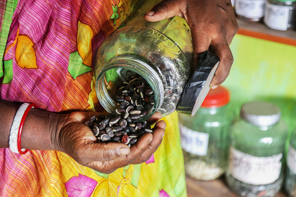 In Bangladesh, Catholic agency cultivates a culture of growing native crops