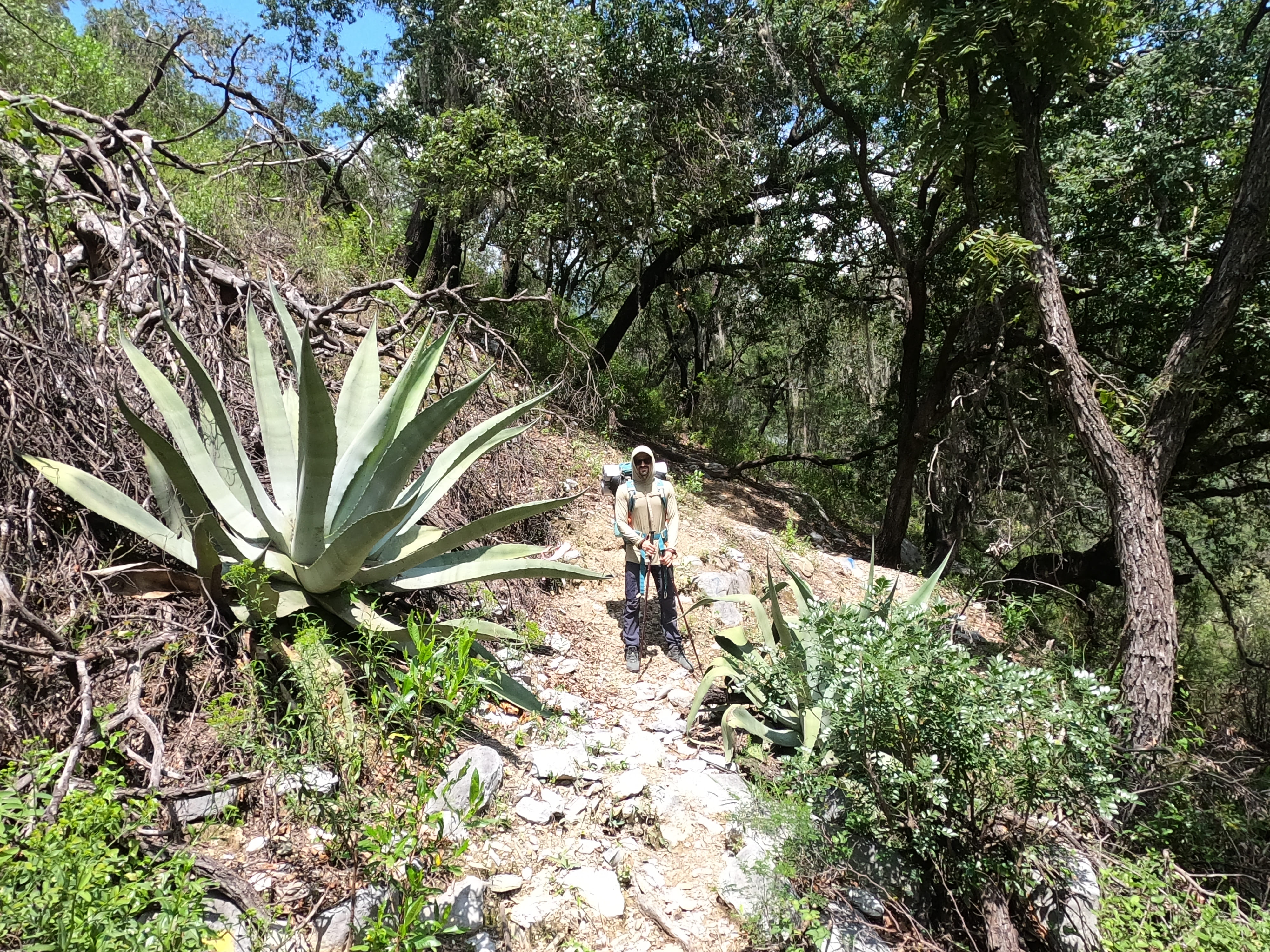 Alex looking minuscule next to this big-a** cactus