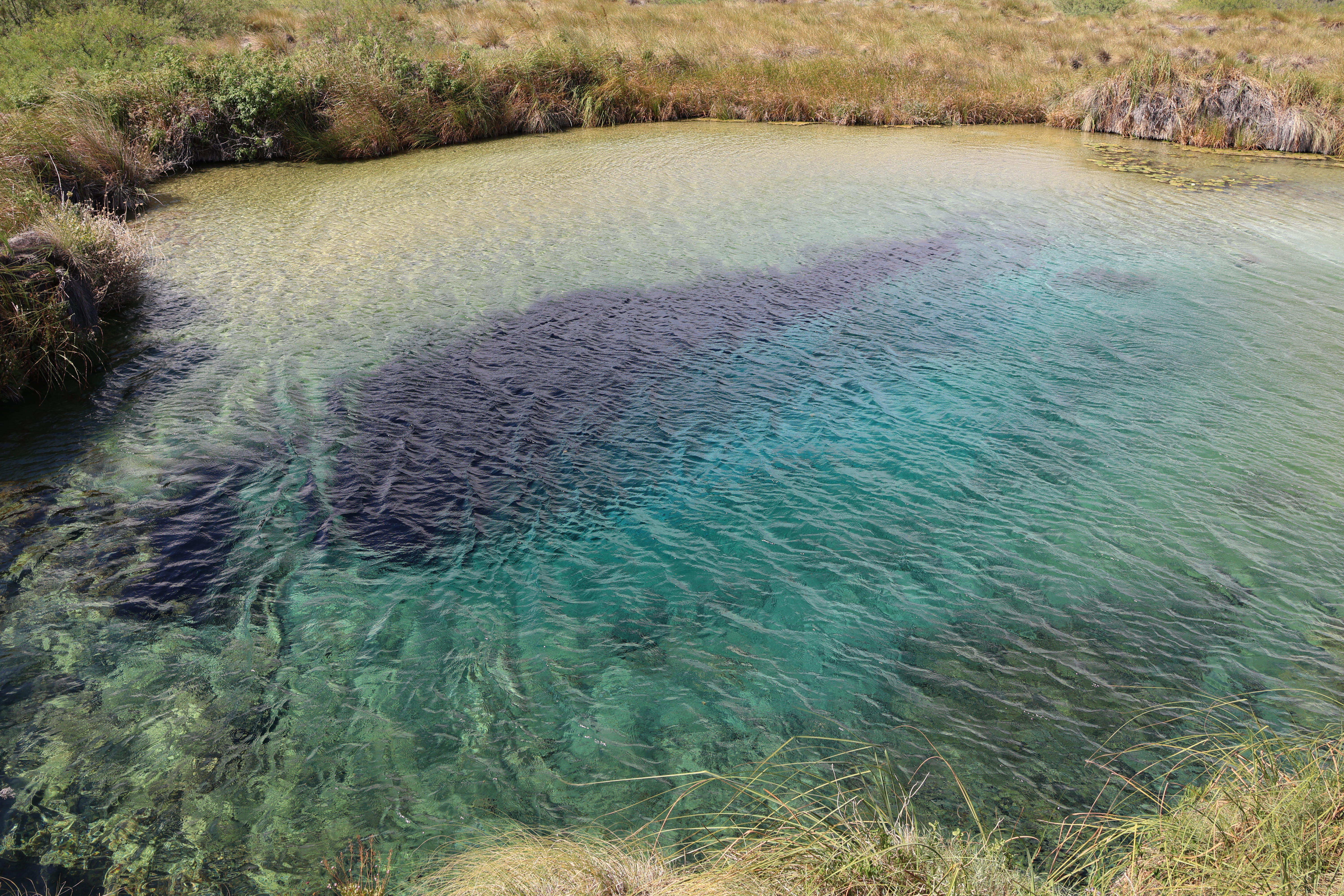 Beautiful turquoise water in the poza
