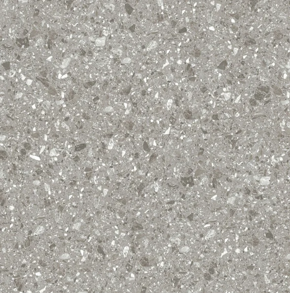HG T6631