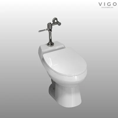 VIGO F/V형 양변기 서양식 사이펀 후레쉬밸브형 3000