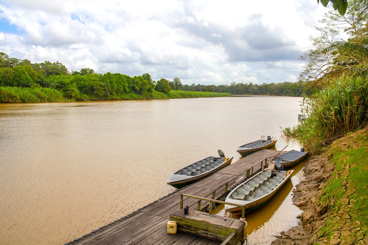 Semenggoh Orang Utan Centre and Kuching City Tour
