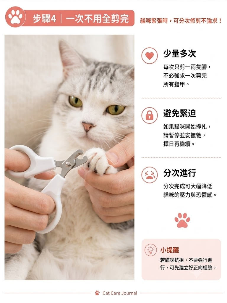 幫貓咪剪指甲時，不一定要一次剪到位或是剪完全部指甲