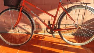Bicicleta Urbana, Paseo o Fixie El Rayo