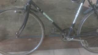 Bicicleta Ruta o Pista Olímpico Media Pistas