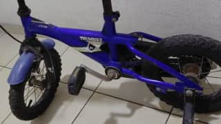 Bicicleta Niño o Niña Thumbike Action Baby Joy