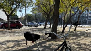 Bicicleta Urbana, Paseo o Fixie Oxford