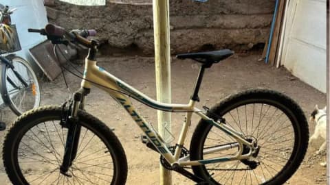 Bicicleta Mountain Bike Altitude Mtb Kuden 3