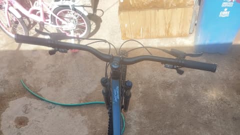 Bicicleta Mountain Bike Bianchi Peregrine 29Sx
