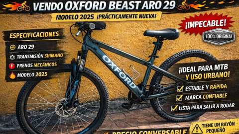 Bicicleta Mountain Bike Oxford  Beast Aro 29