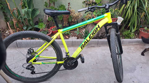 Raleigh Agile.