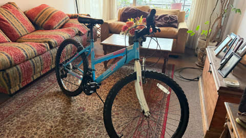 Niña Paragon Mtb 100 Aro 24 Mtb 100