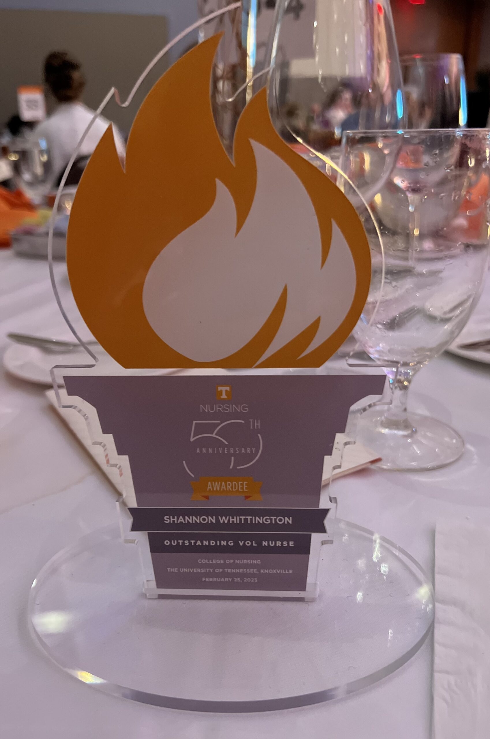 University of TN outstanding nurse alumni