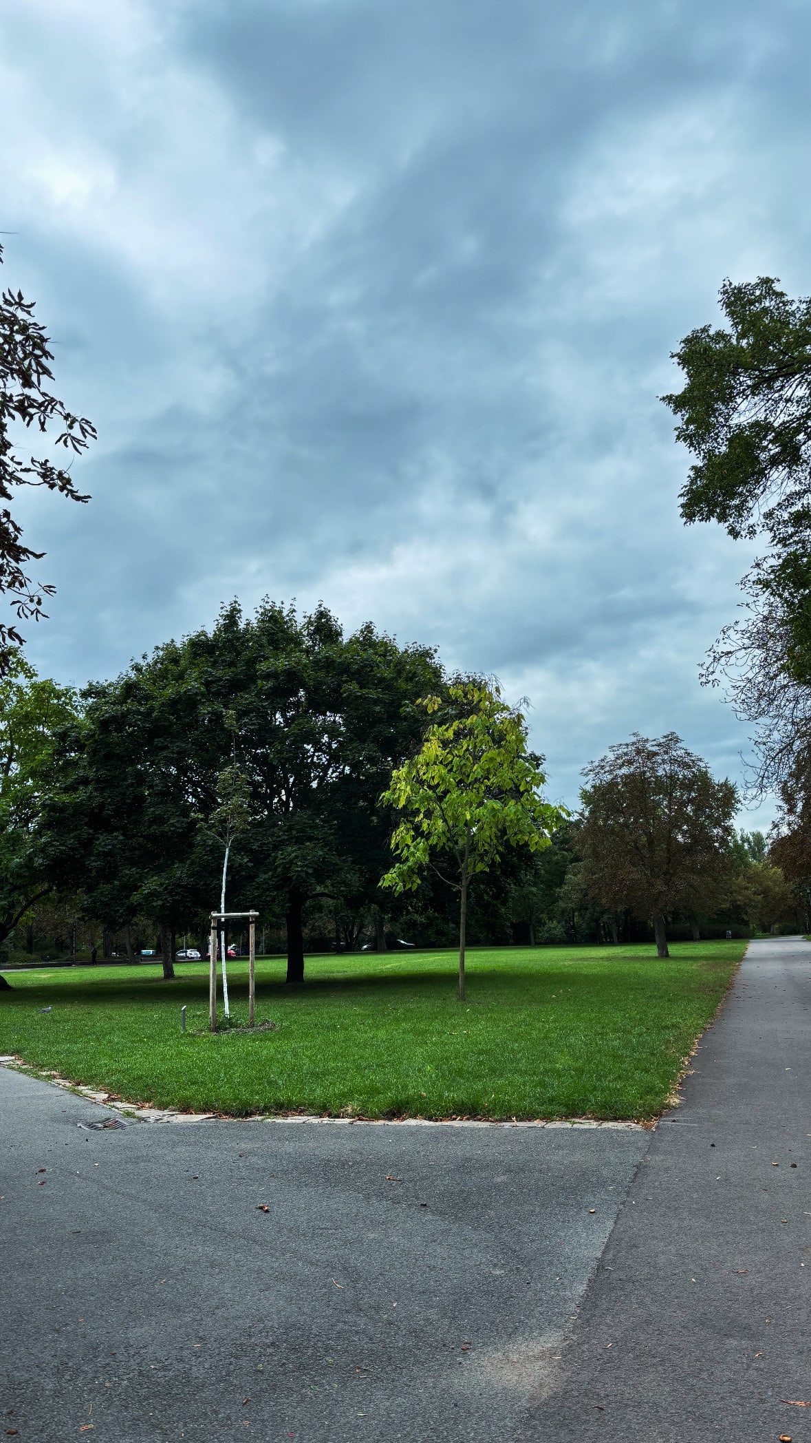 Heritage and Harmony