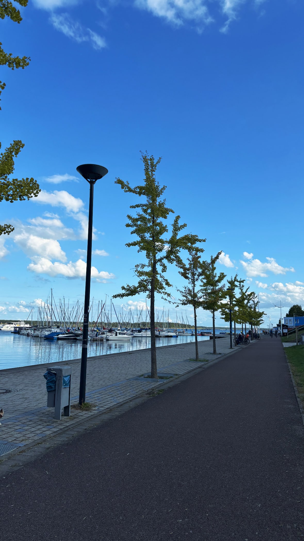 Heritage and Harmony