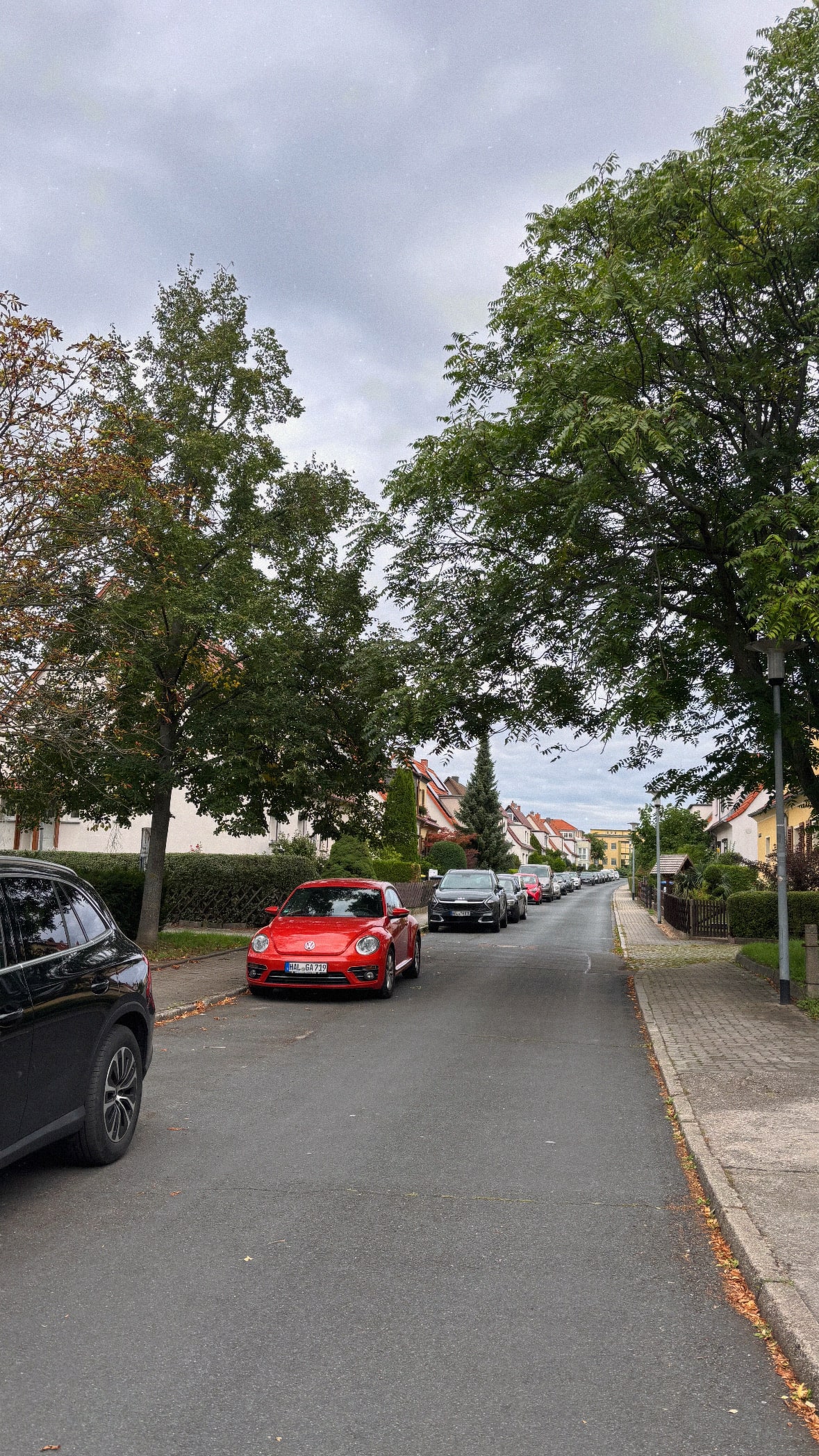 Heritage and Harmony