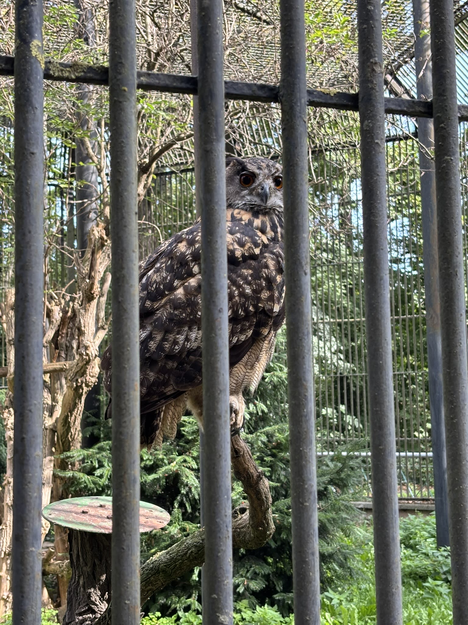 Heritage and Harmony