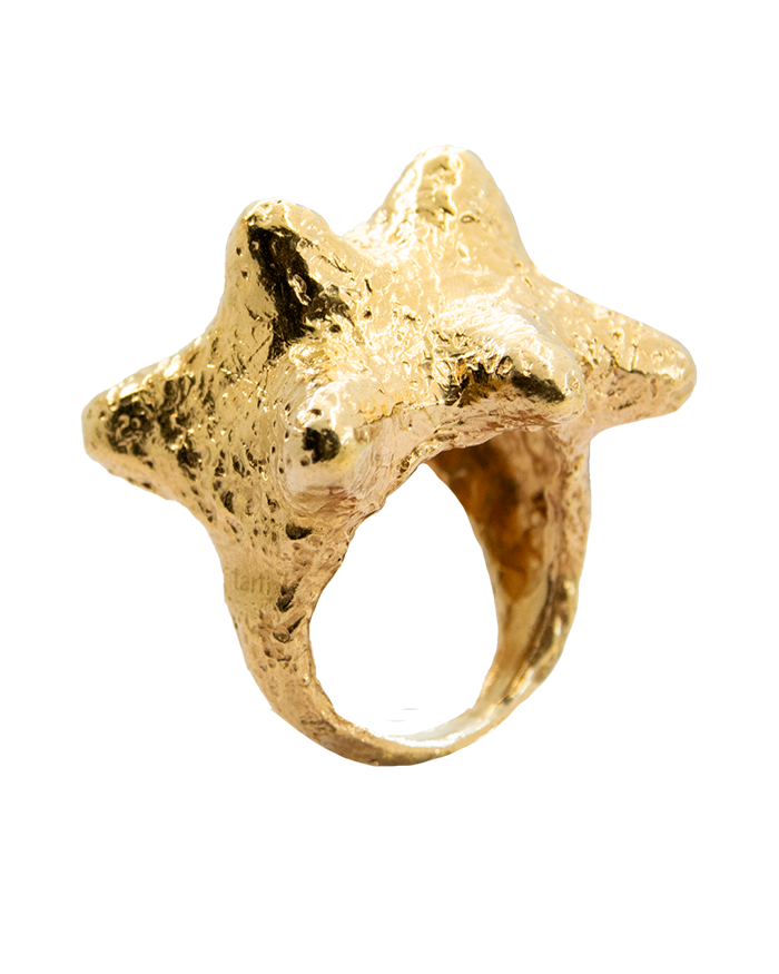 Fotón de PINXON DORADO BY APREELS X TARTI