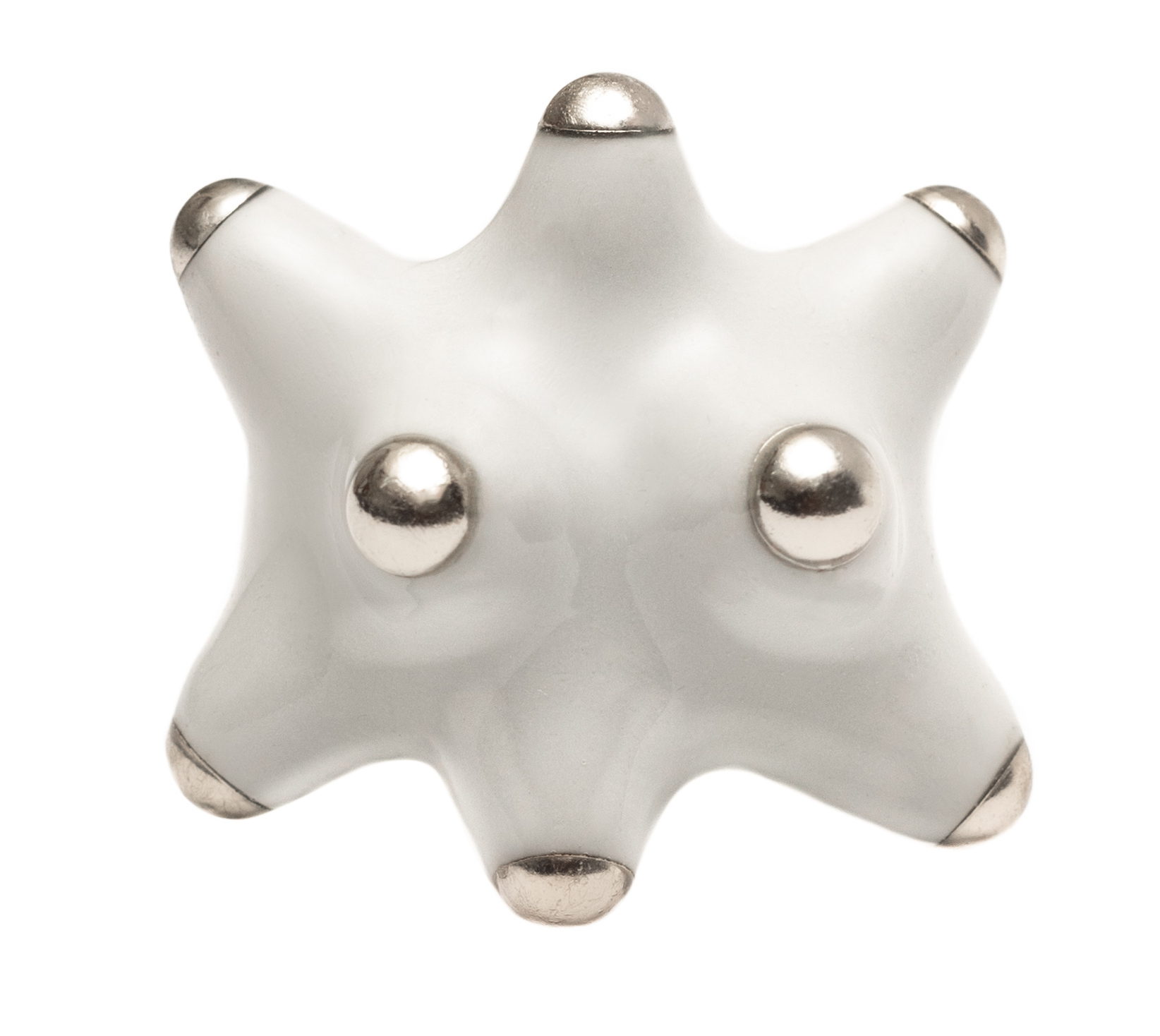 Fotón de Pinxón blindao gray