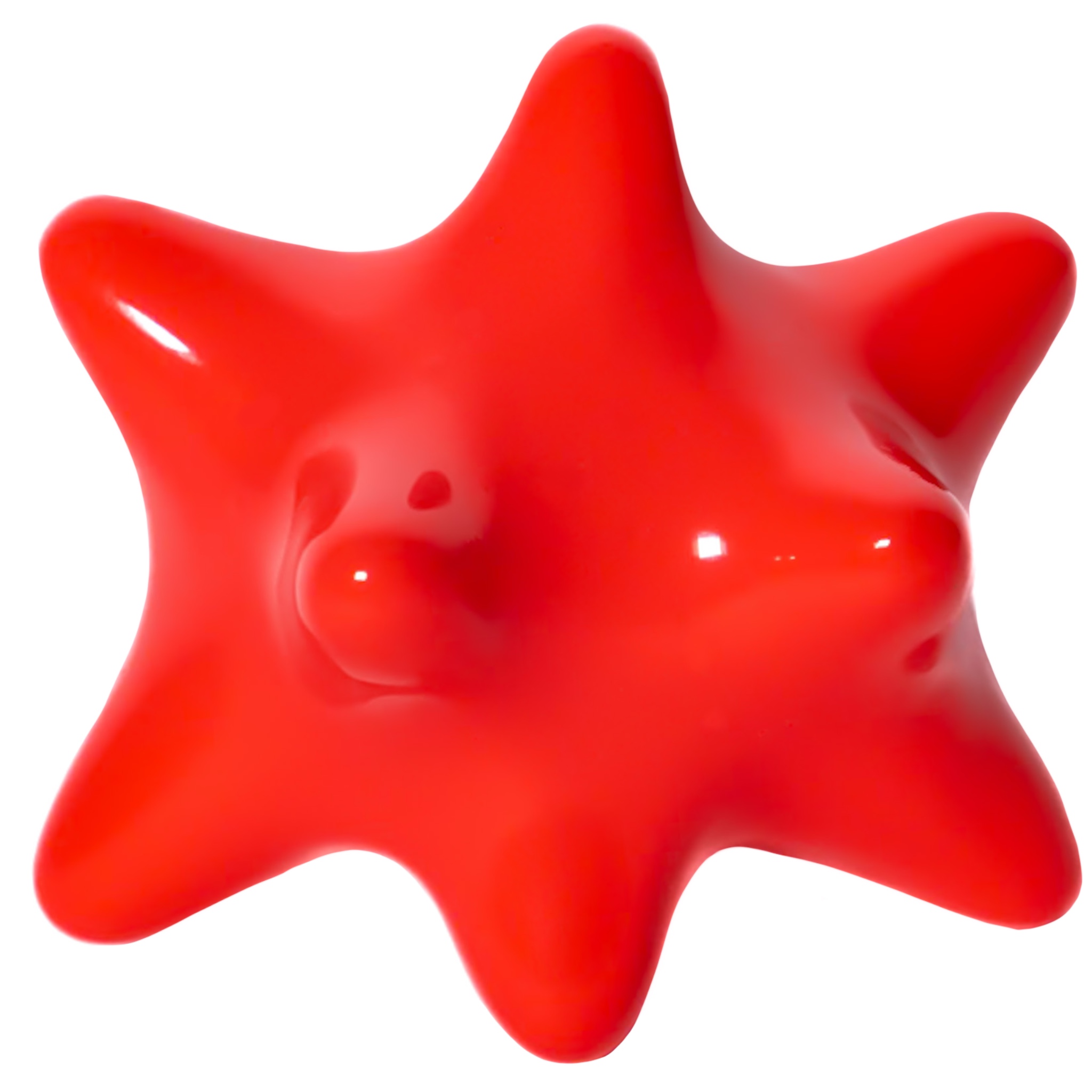 Fotón de Pinxón gambón