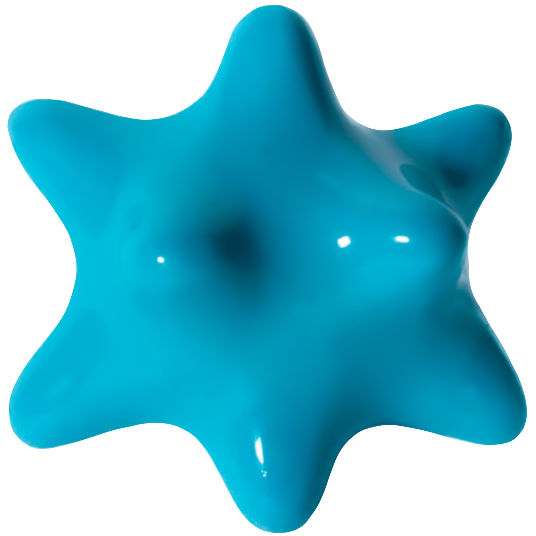 Fotón de Pinxón acuático