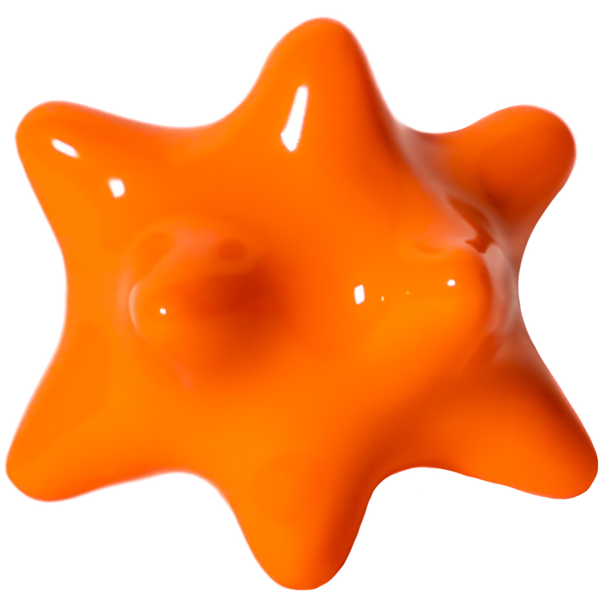 Fotón de Pinxón zumito mañanero