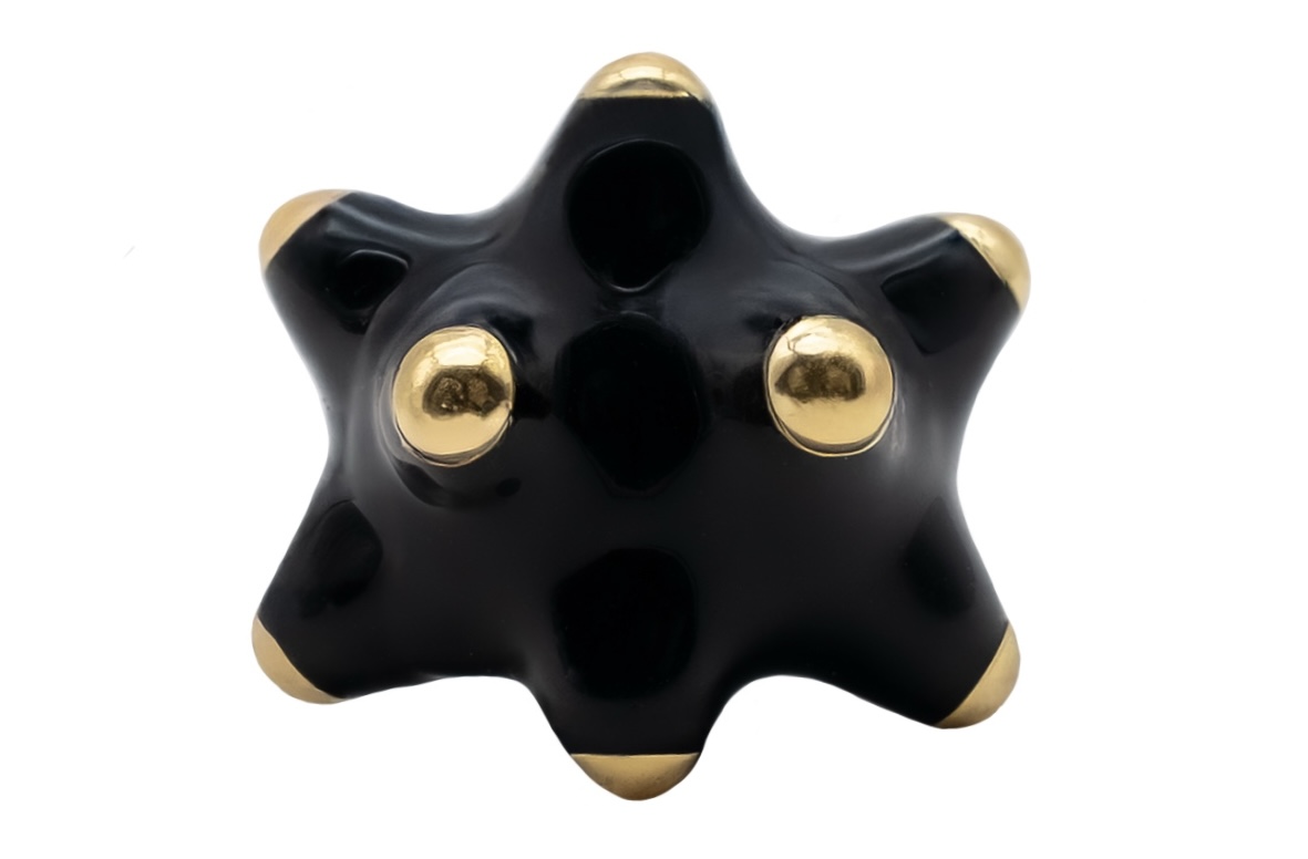 Fotón de Pinxón Blindao black dorao