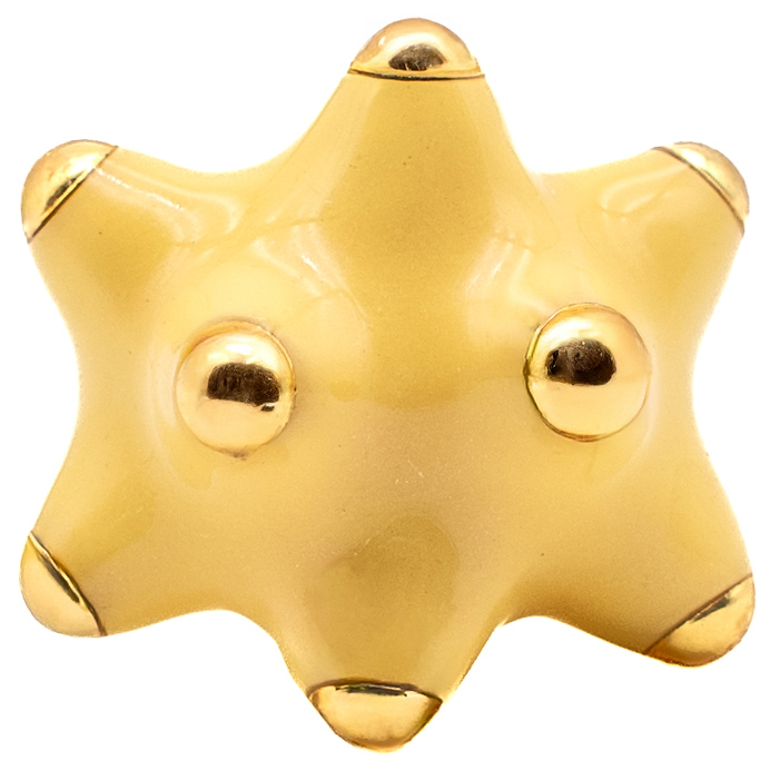 Fotón de Pinxón pez mantequilla