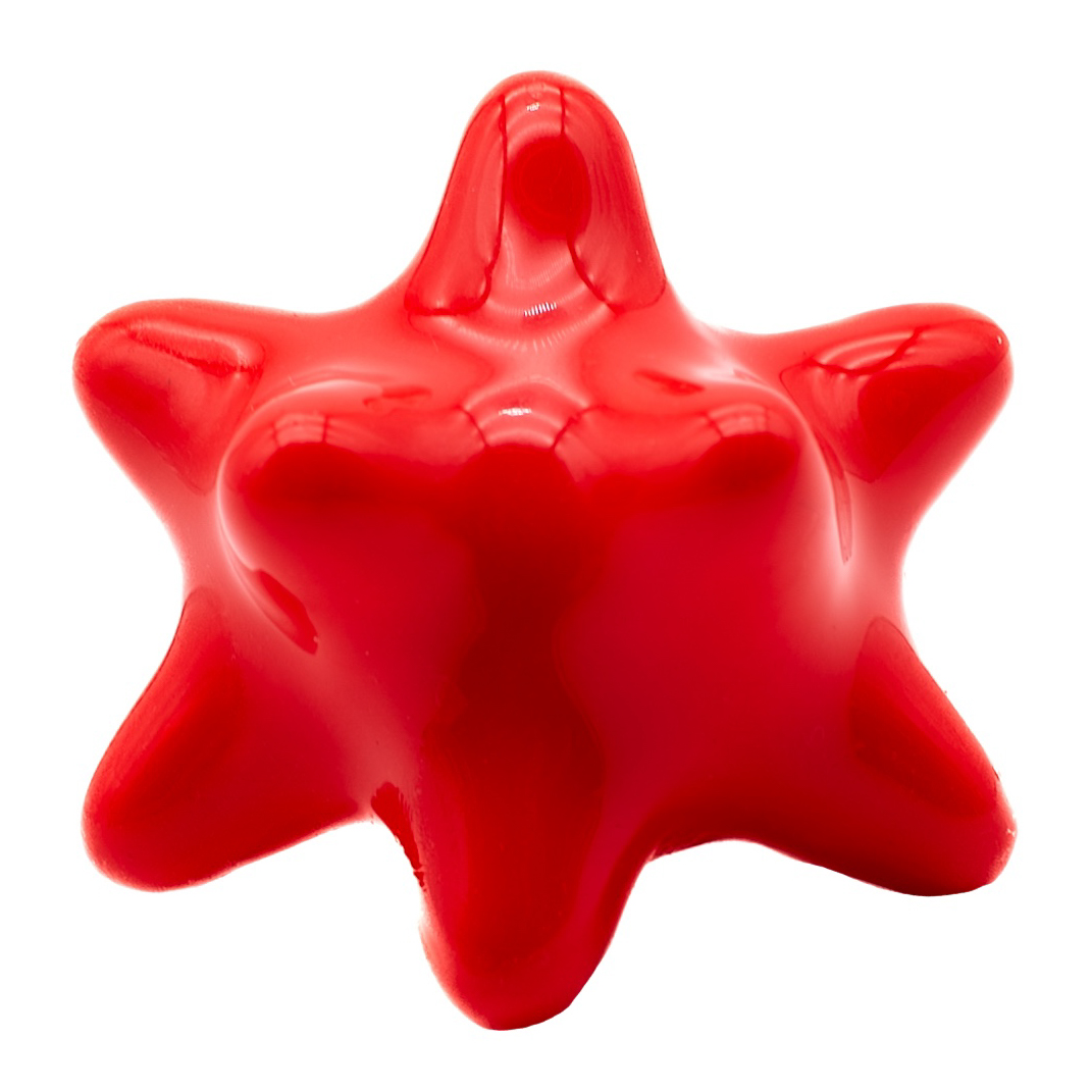 Fotón de Megapinxón gambón