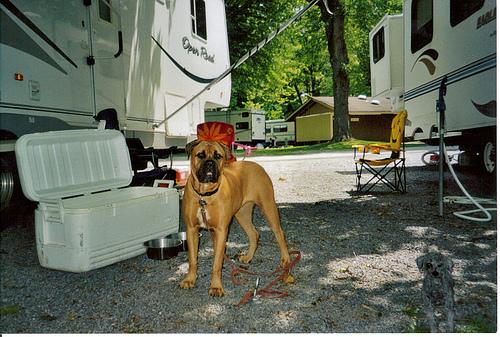 Max