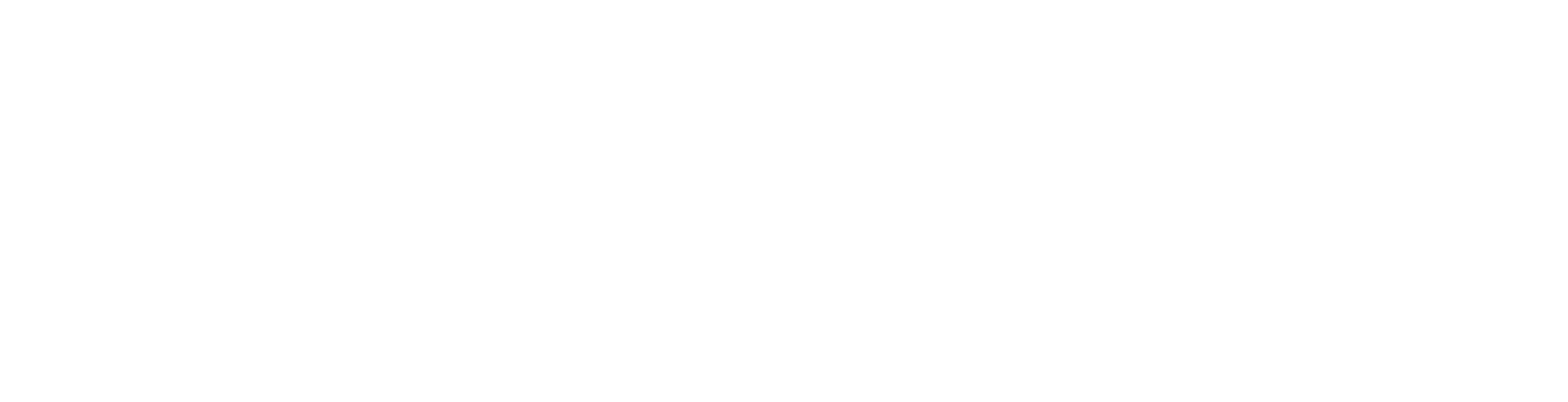 Elation logo