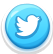 Twitter icon image