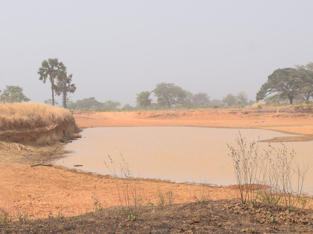 A community dam reservoir in the dry season, Kaduna State