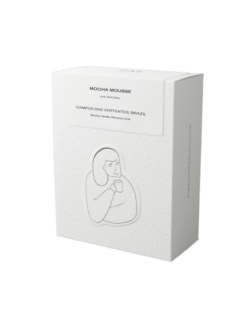 Artisan coffee preparation