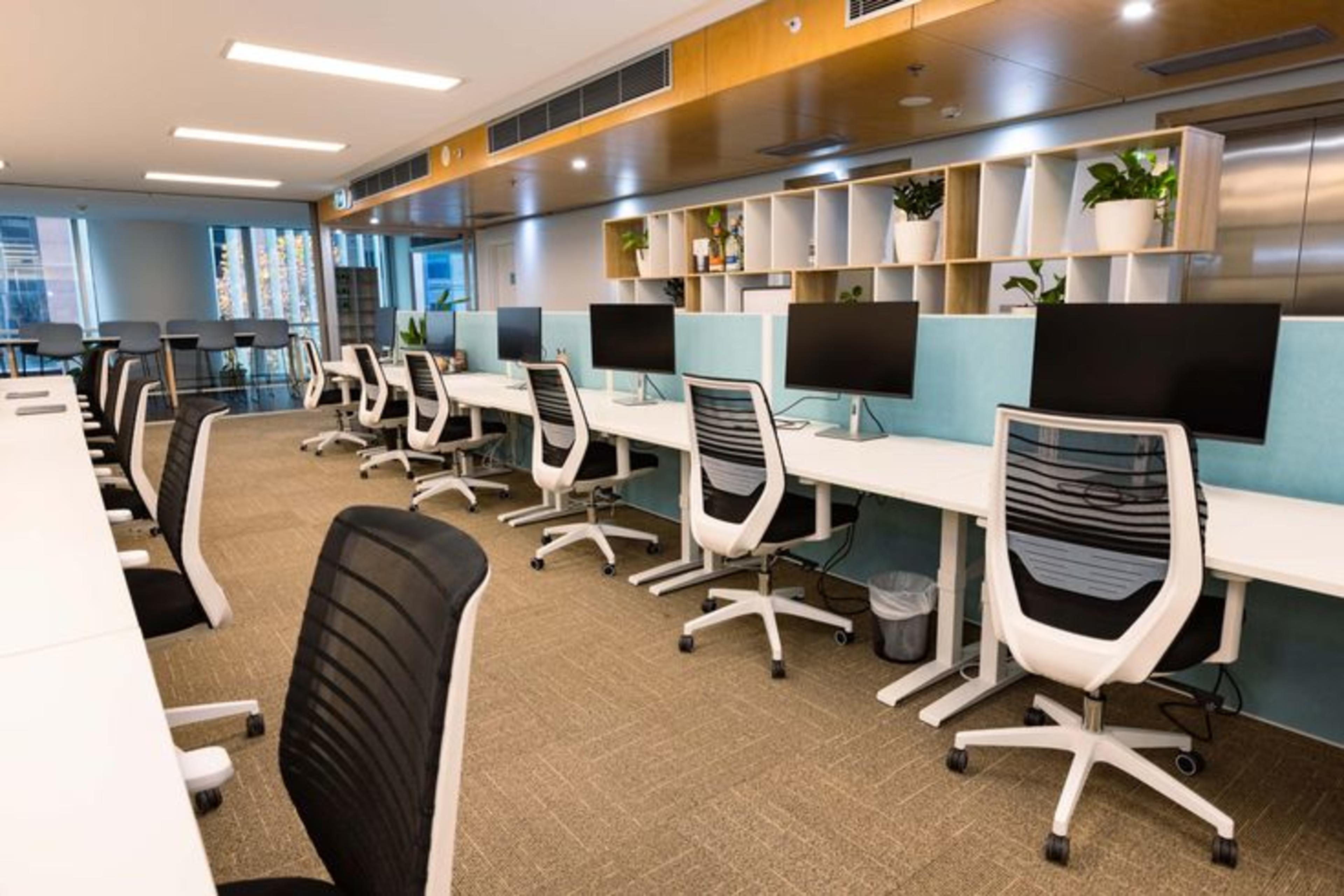 White desks with privacy screens and black chairs in hot desks coworking space under a bright ceiling with ambient lighting