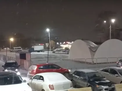 Нижегородцы протестуют против строительства катка