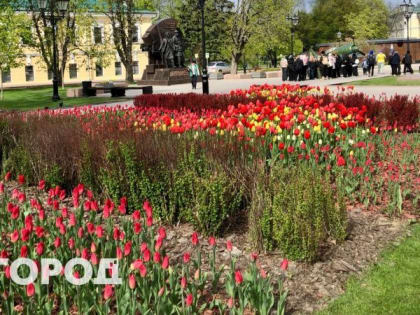 Наконец-то тепло: выходные порадуют нижегородцев солнечной погодой