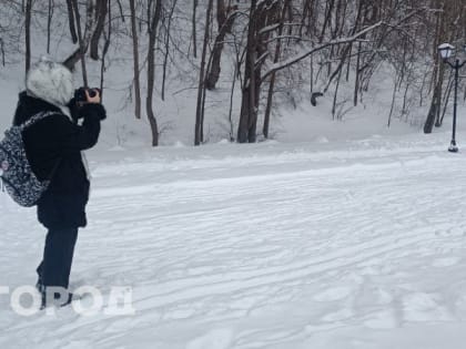 Зимняя идиллия: какая погода будет в Нижегородской области в первые выходные февраля