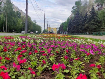 Заседание комиссии по экологии в Нижнем Новгороде