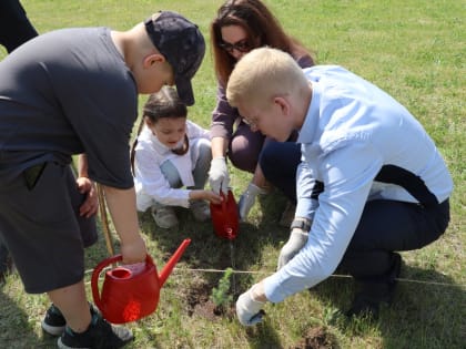 Депутаты нижегородской Думы и члены молодежной палатой высадили деревья в парке Победы