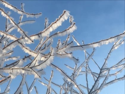 Синоптики рассказали нижегородцам о погоде на предстоящей неделе