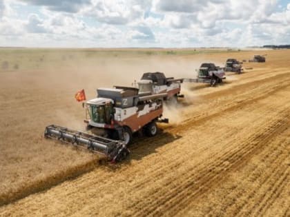 Производство зерна достигает рекордных уровней
