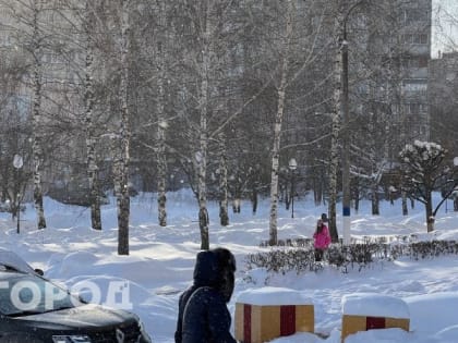 Природа играет в холодные игры, февральский раунд: как пройдут выходные в Нижегородской области