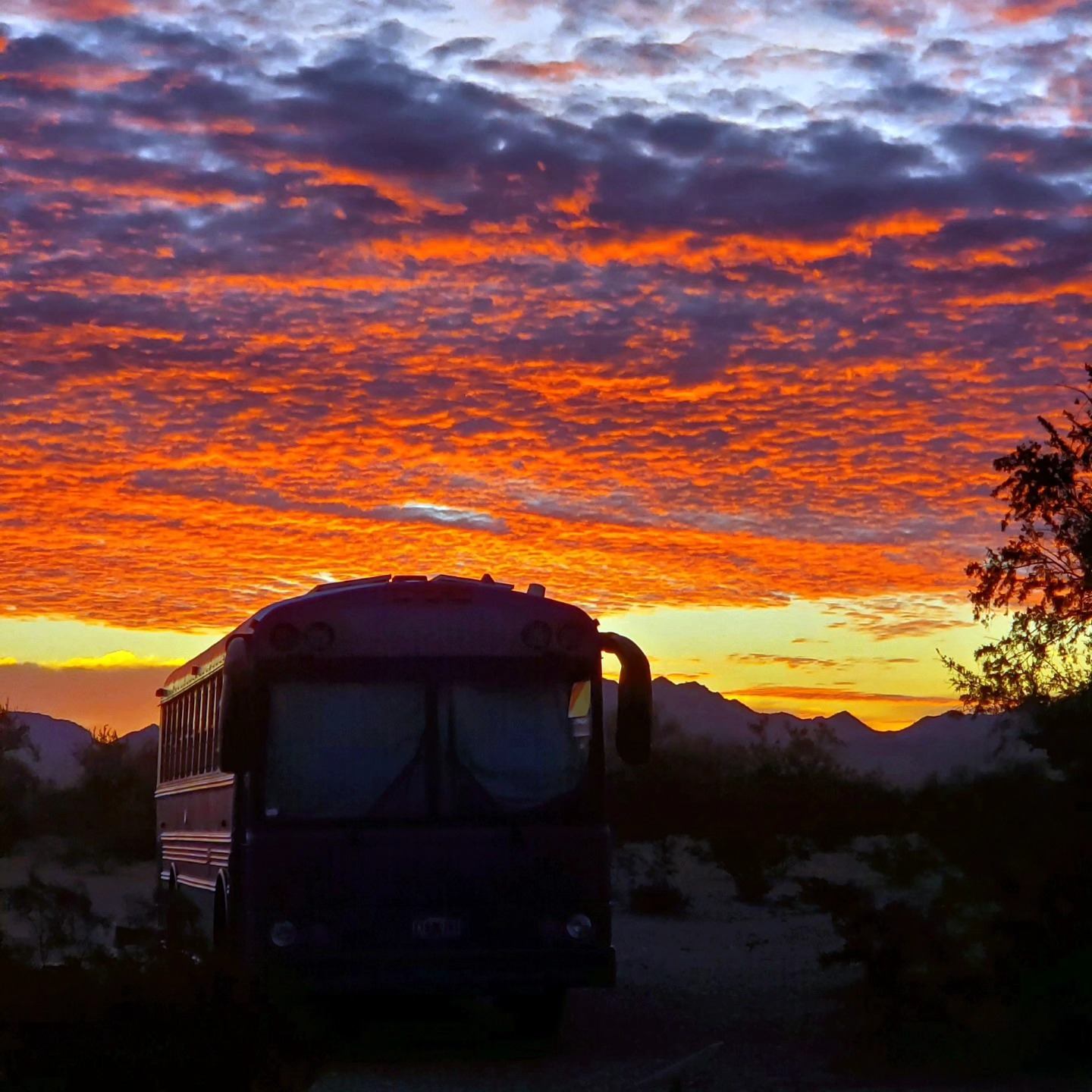 Crazy Sunset and Skoolie