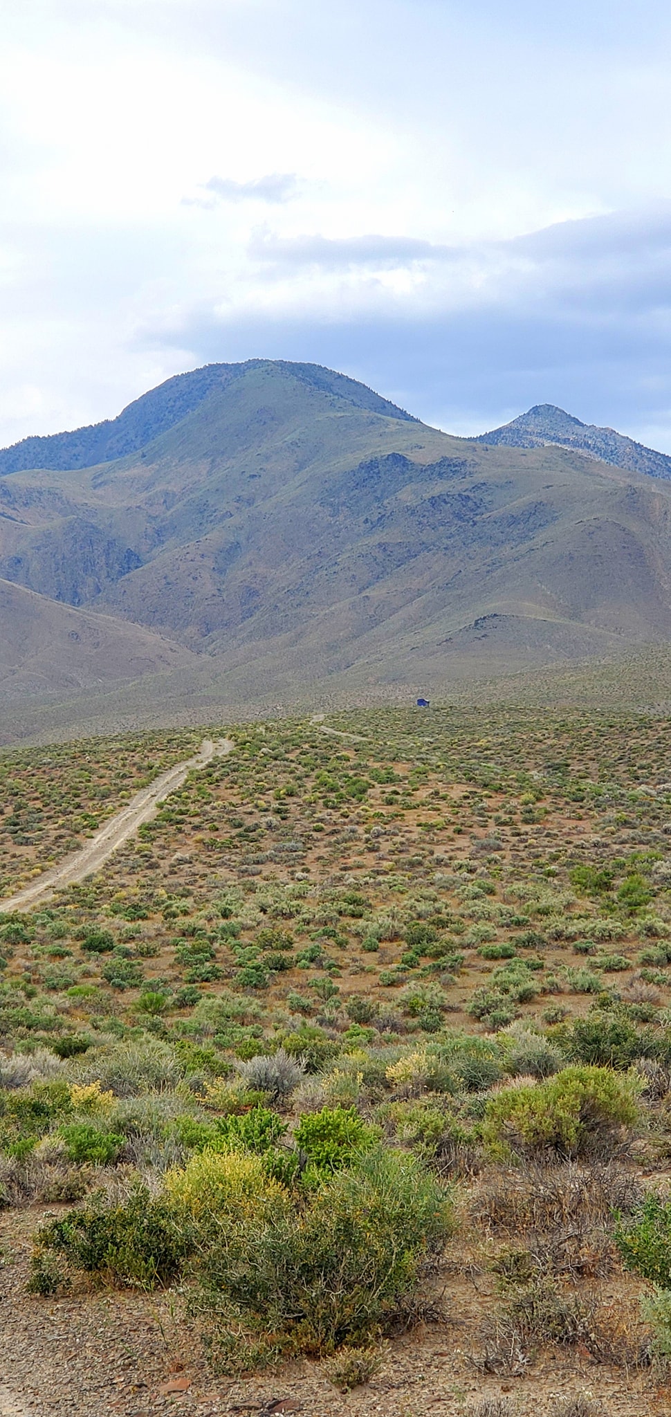 Skoolie Boondocking in the Foothills of the White Mountains